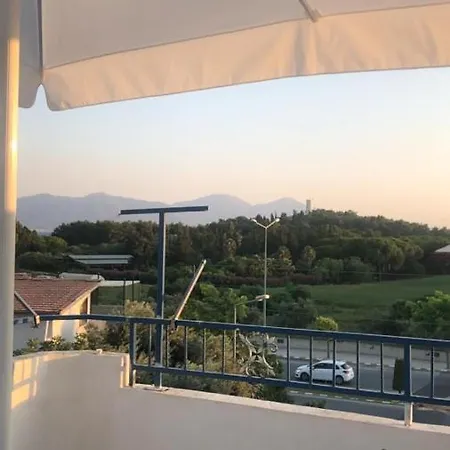 Forest View Entire House فيلة