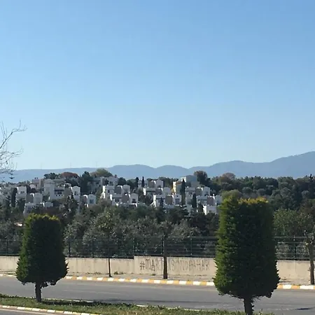 Forest View Entire House فيلة *