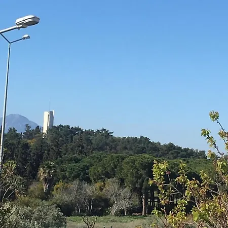 Forest View Entire House كوشاداسيه